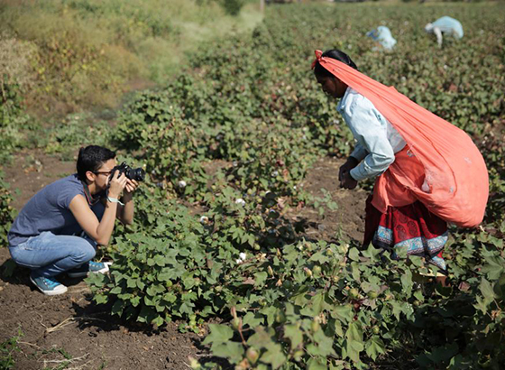 India-Emi cotton field(web)